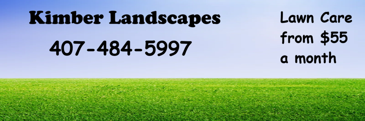 Oviedo Lawn Care for $20