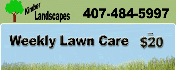Lawn Care for $20